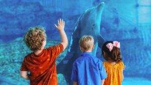 Three kids standing in front of a glass aquarium with a dolphin swimming in front of them at Clearwater marine aquarium